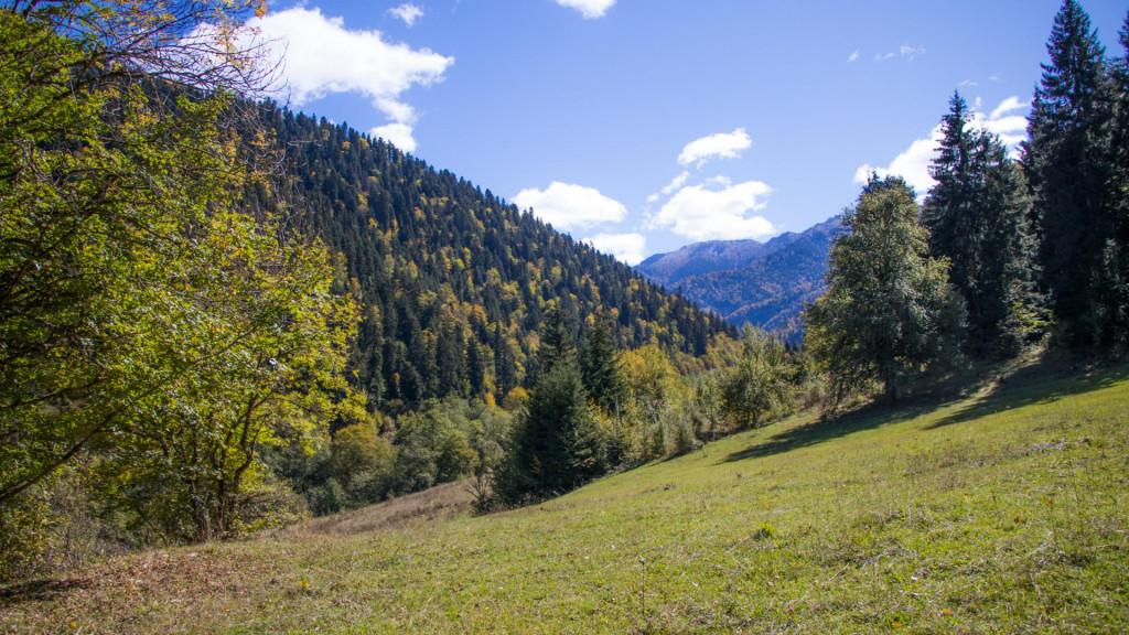 ნეძვის აღკვეთილი - Nedzvi Managed Reserve