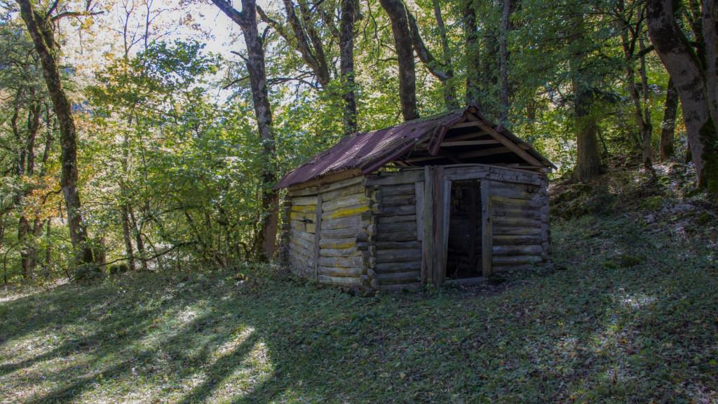 ნეძვის აღკვეთილი - Nedzvi Managed Reserve