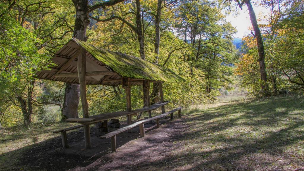 ნეძვის აღკვეთილი - Nedzvi Managed Reserve