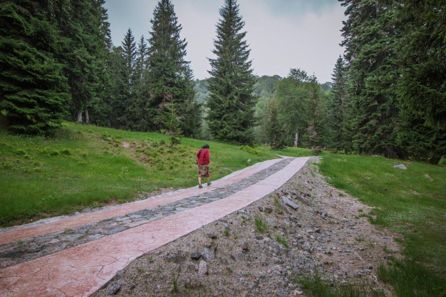 გოდერძის ალპური ბაღი, აჭარა - Goderdzi Alpine Garden, Adjara