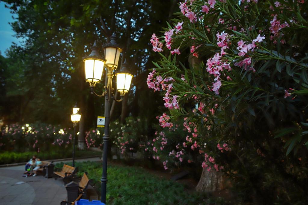 გიორგი ლეონიძის ბაღი Парк Георгия Леонидзе