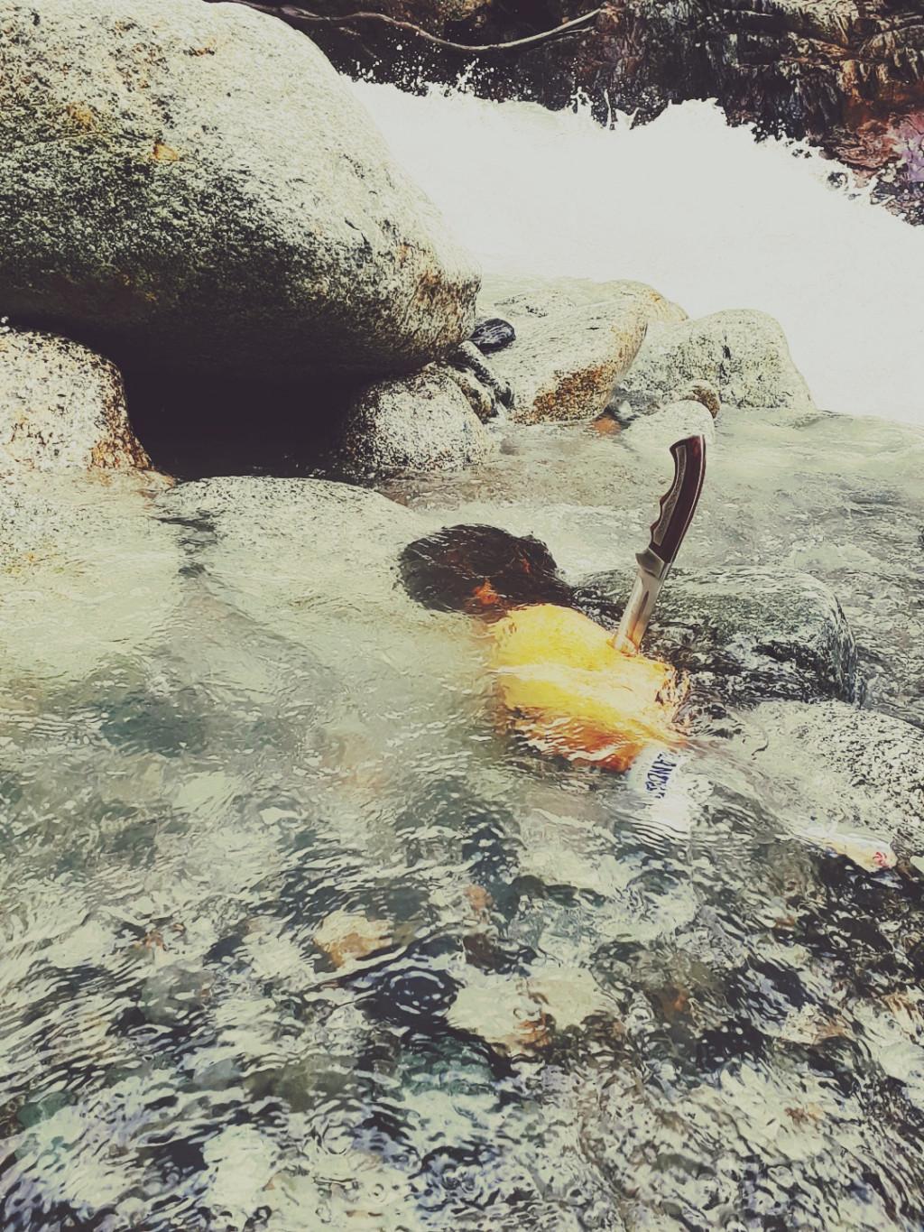 მთის რაჭა