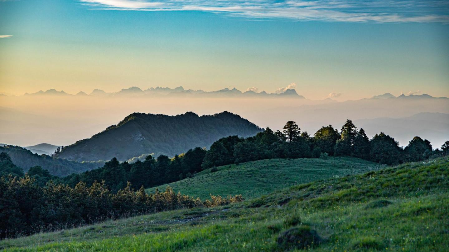 algeti national park