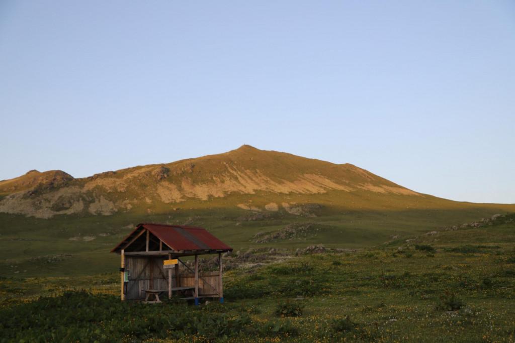 პრინც დემიდოვის ბინა