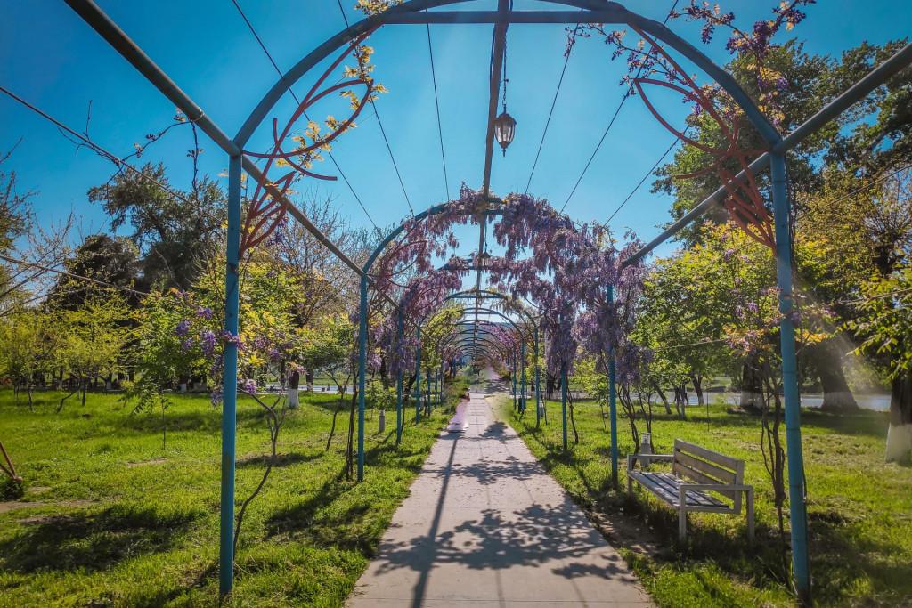 რუსთავის პარკი - Rustavi park