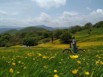 Didgori – Chili Lake Day Tour
