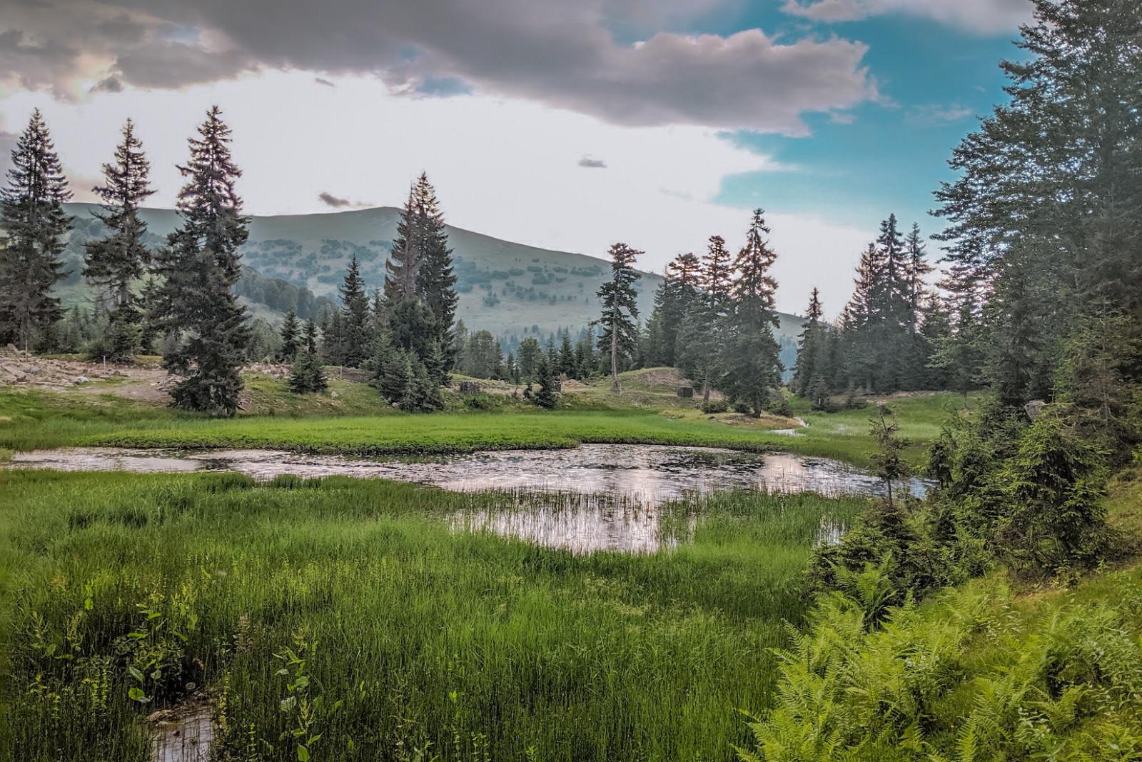 გოდერძის ალპური ბაღი, აჭარა, შავი ტბა - Goderdzi Alpine Garden, Adjara, Black Lake