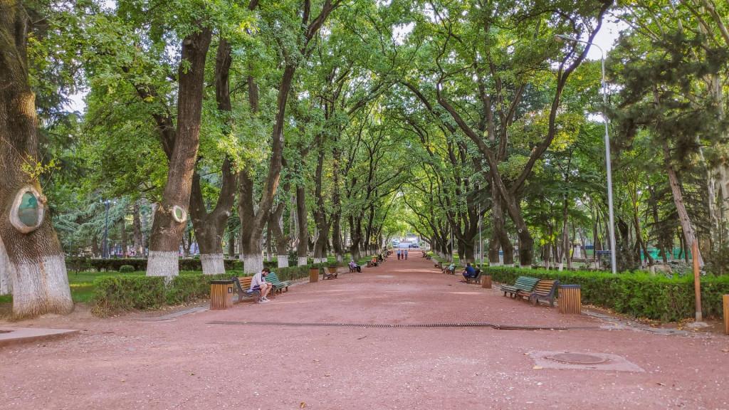 ვაკის პარკი, Park