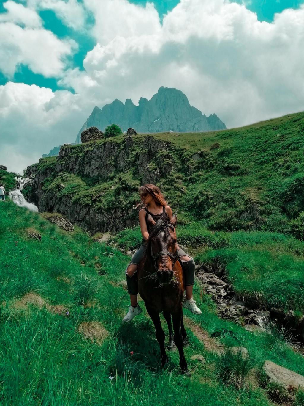 ცხენტური ჯუთაში