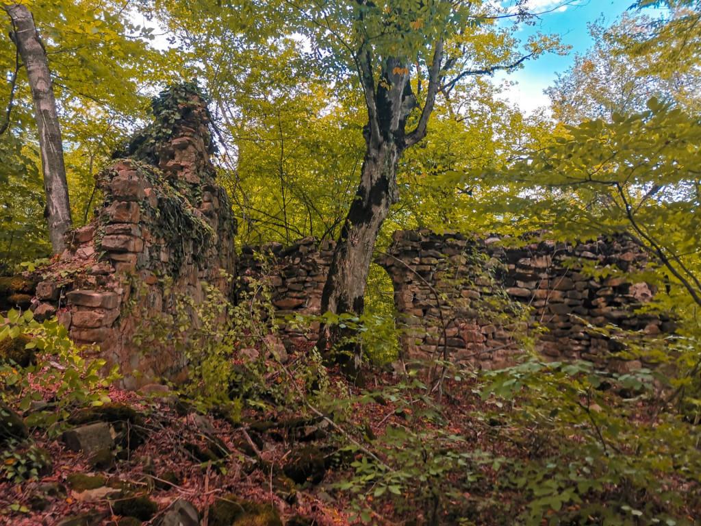 კურტანიძიეულის წმ. მარინეს კომპლექსი