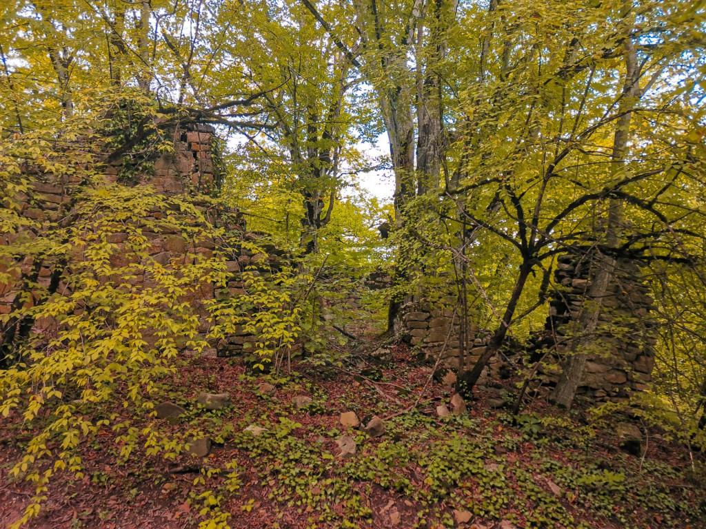 კურტანიძიეულის წმ. მარინეს კომპლექსი