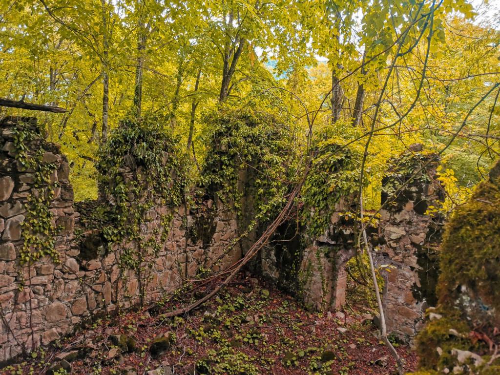 კურტანიძიეულის წმ. მარინეს კომპლექსი