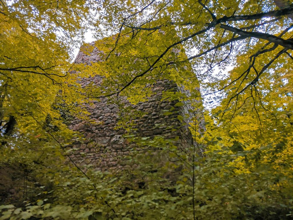 კურტანიძიეულის წმ. მარინეს კომპლექსი