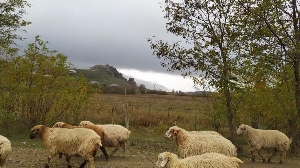 Day Hike In Samshvilde