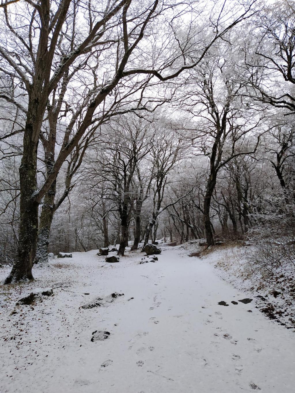 Rkoni - Day Hike in Tedzami River Valley