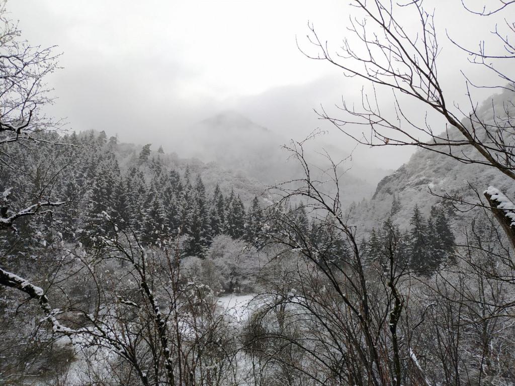 Rkoni - Day Hike in Tedzami River Valley