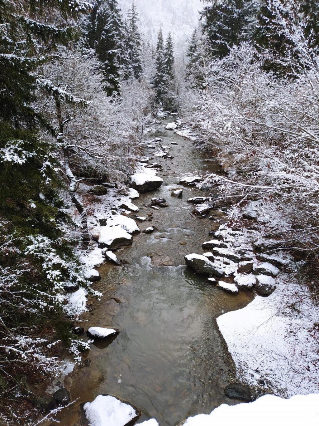 Rkoni - Day Hike in Tedzami River Valley