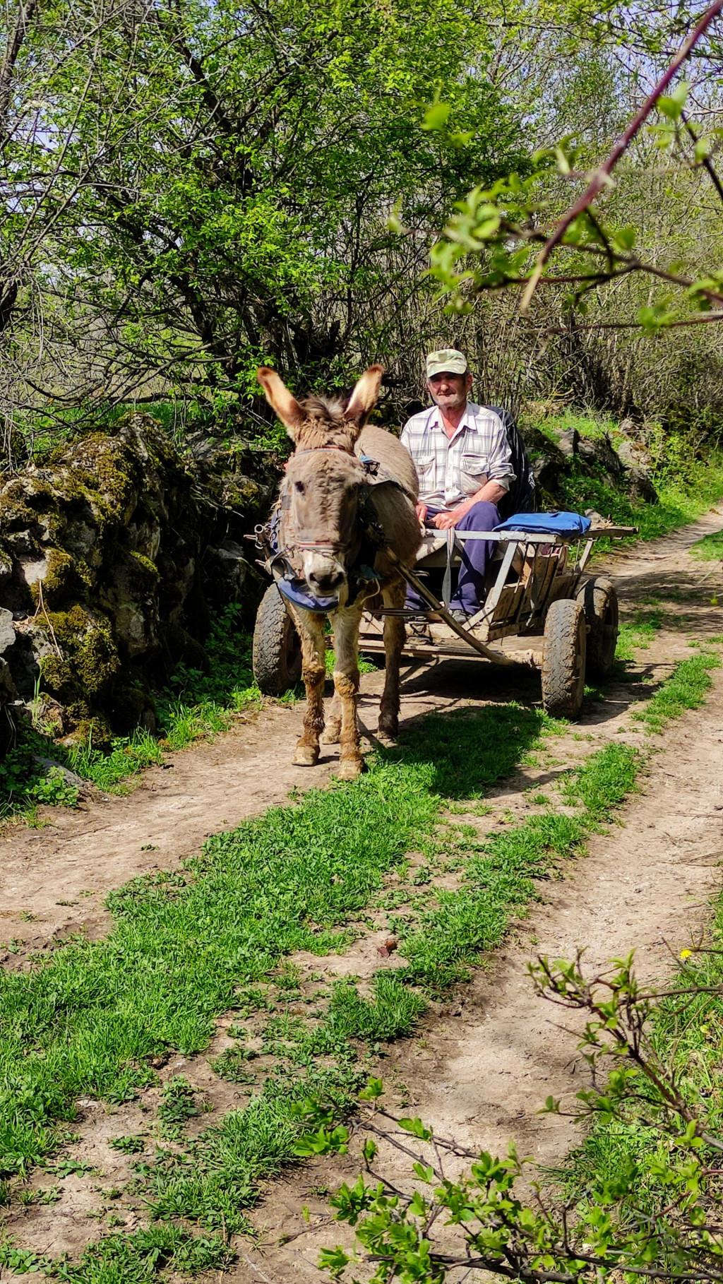 Day Hike In Samshvilde