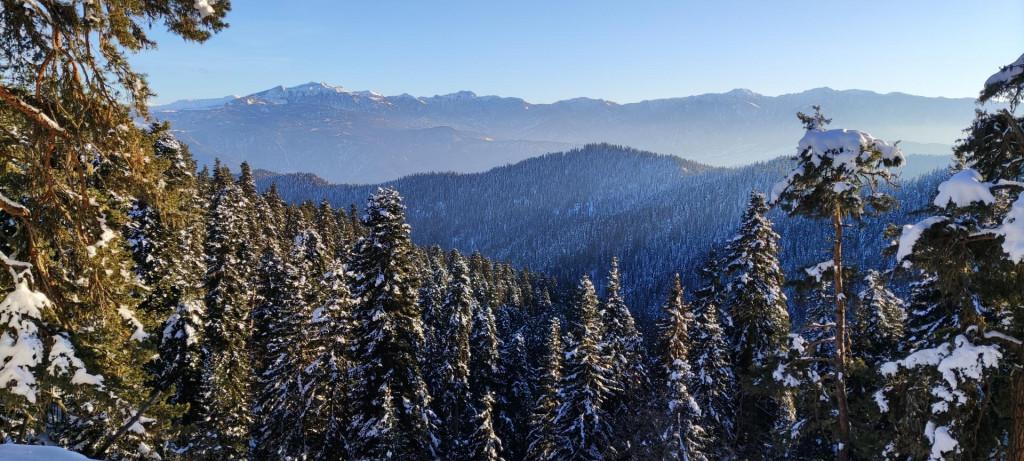 ნაკვალევის ბილიკი