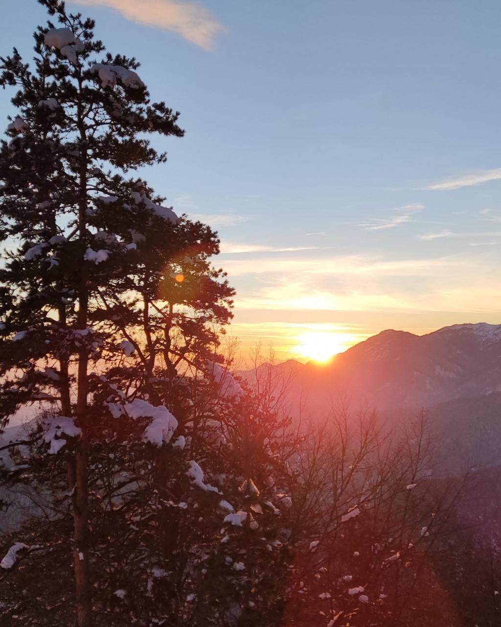 ნაკვალევის ბილიკი