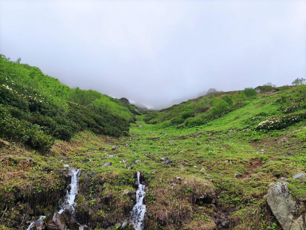 კურორტი ზეკარი