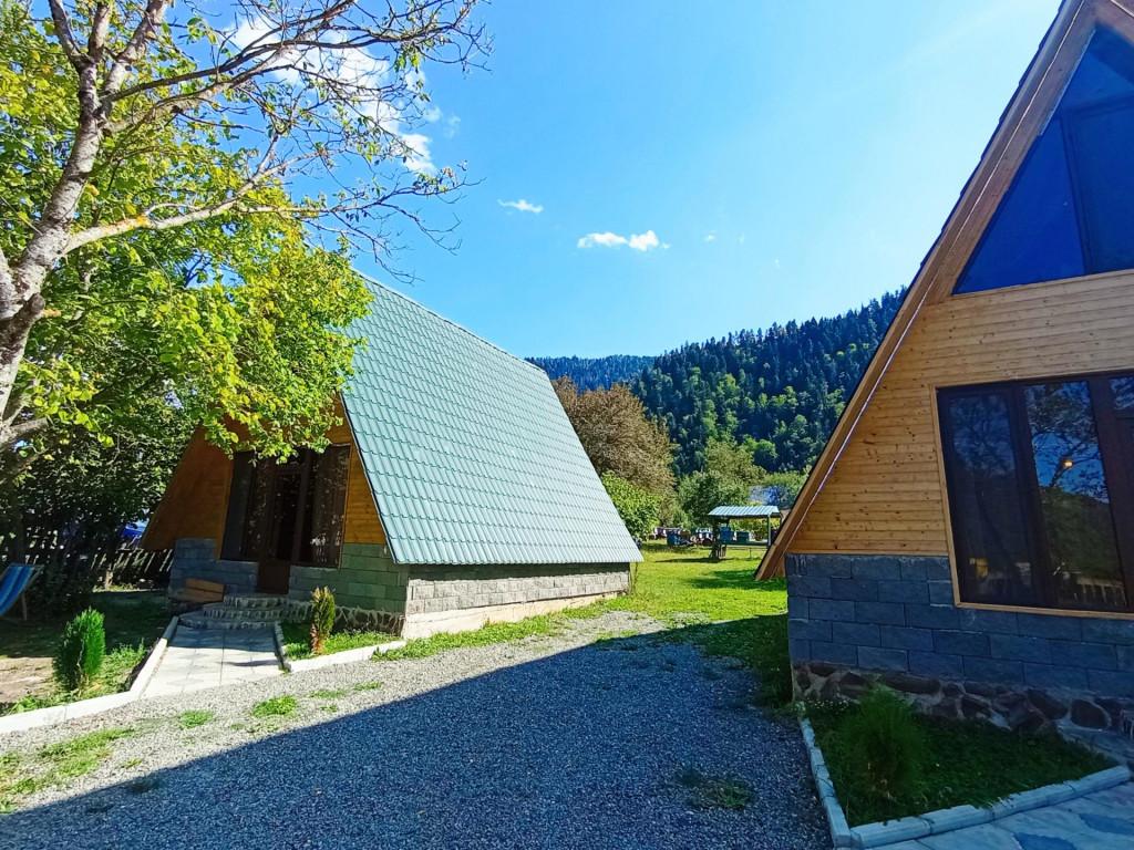 Borjomi-sadgeri\'\'Twins\'\'