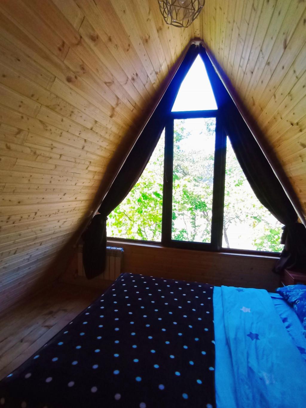 Borjomi-sadgeri\'\'Twins\'\'