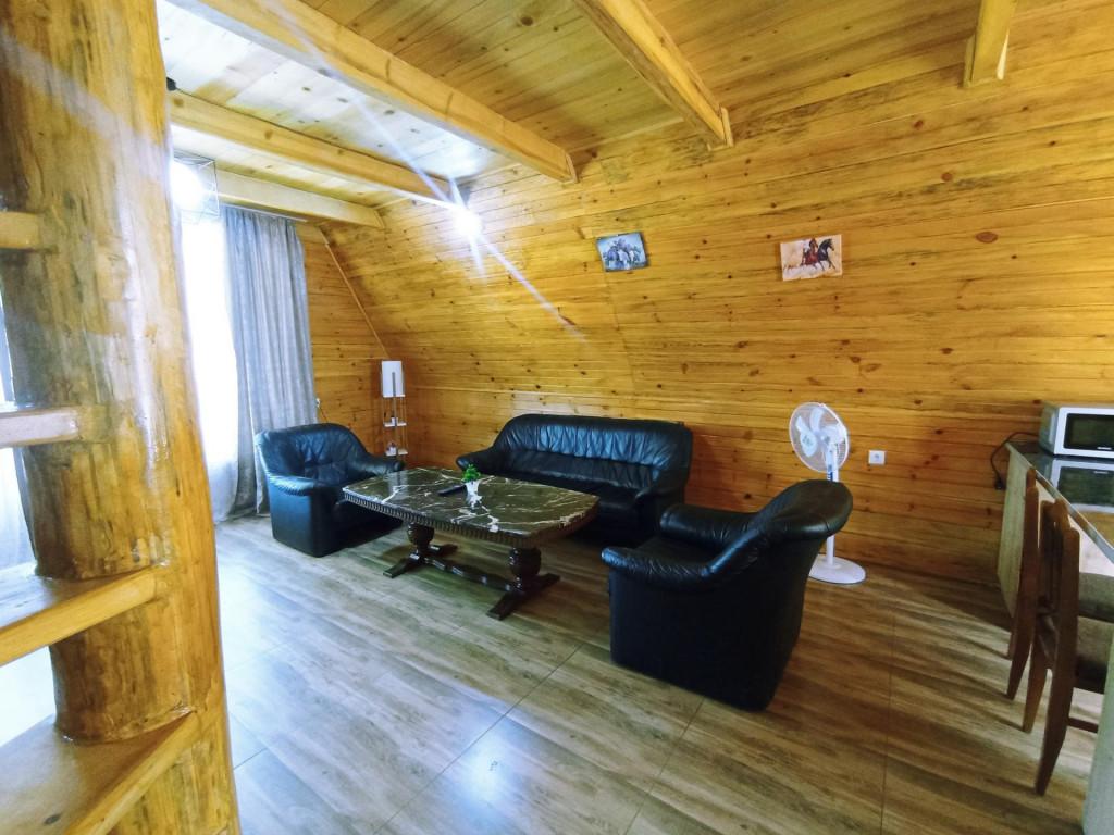 Borjomi-sadgeri\'\'Twins\'\'