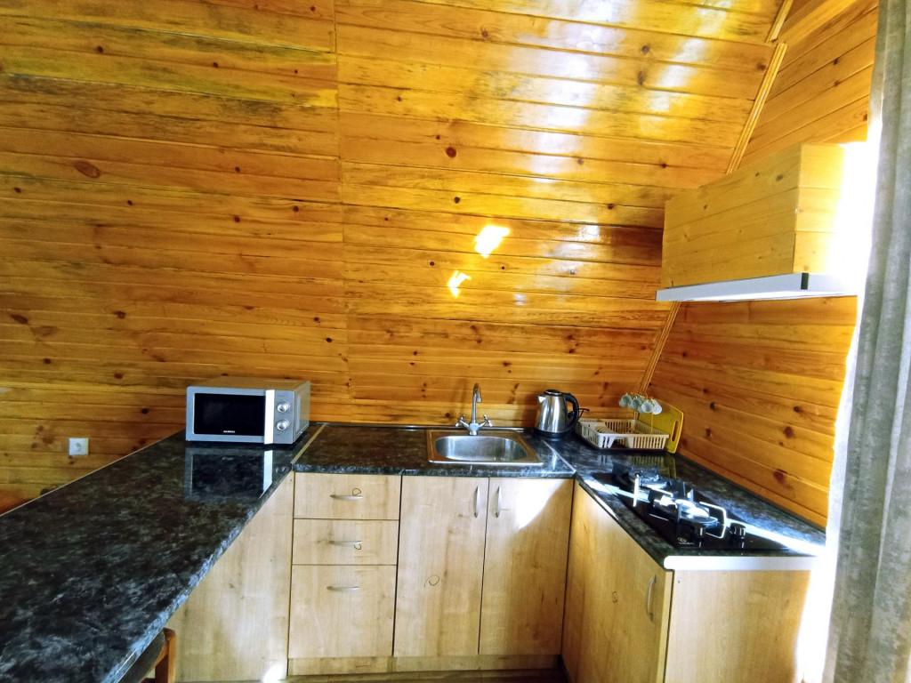 Borjomi-sadgeri\'\'Twins\'\'