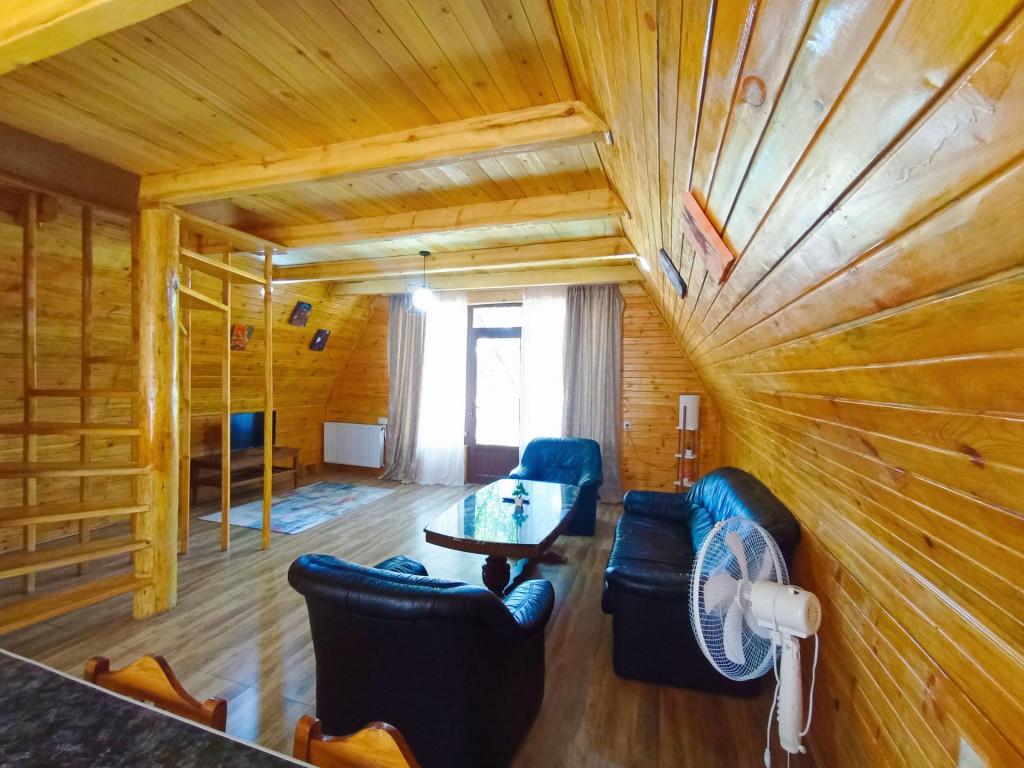 Borjomi-sadgeri\'\'Twins\'\'