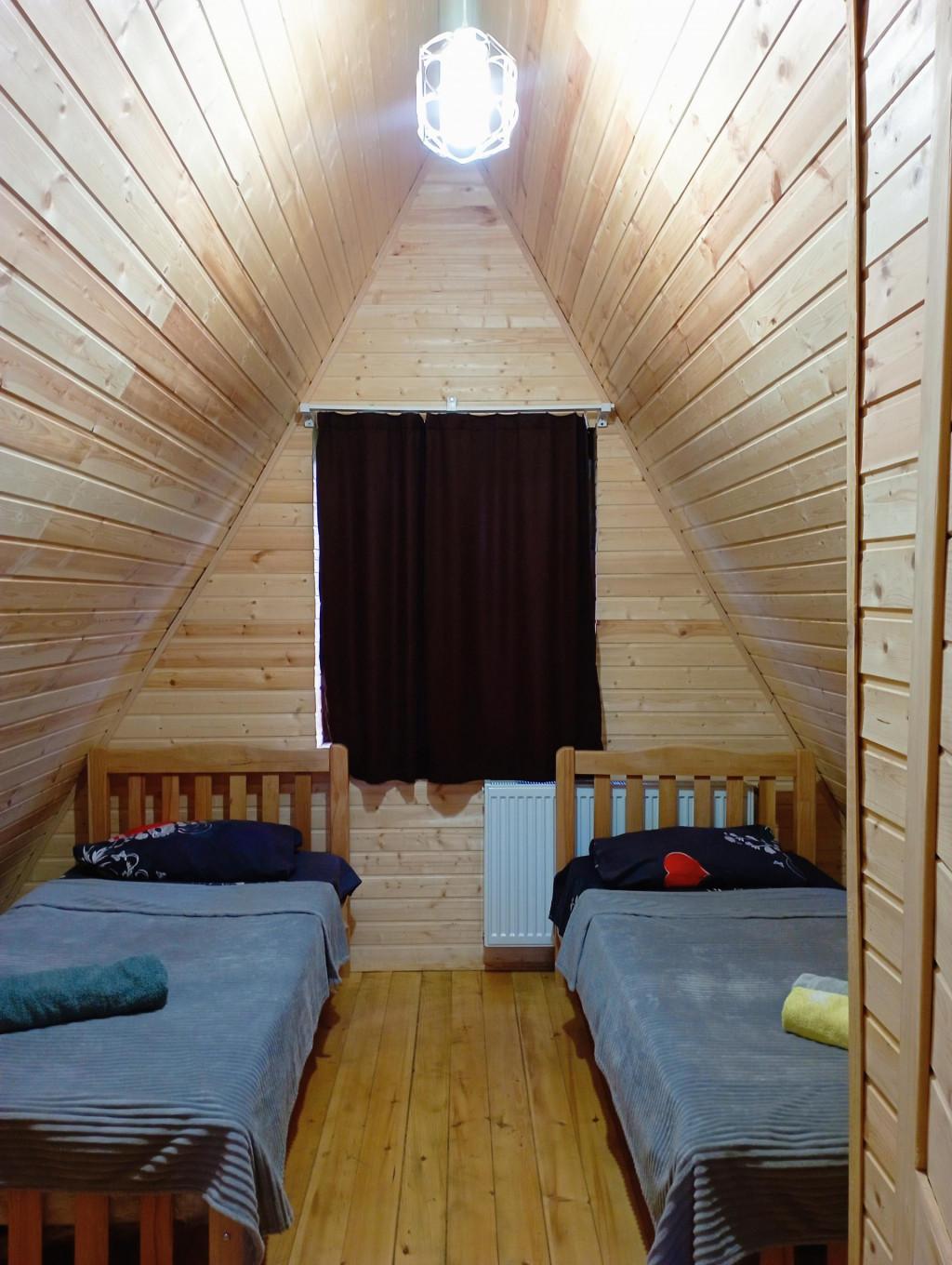 Borjomi-sadgeri\'\'Twins\'\'