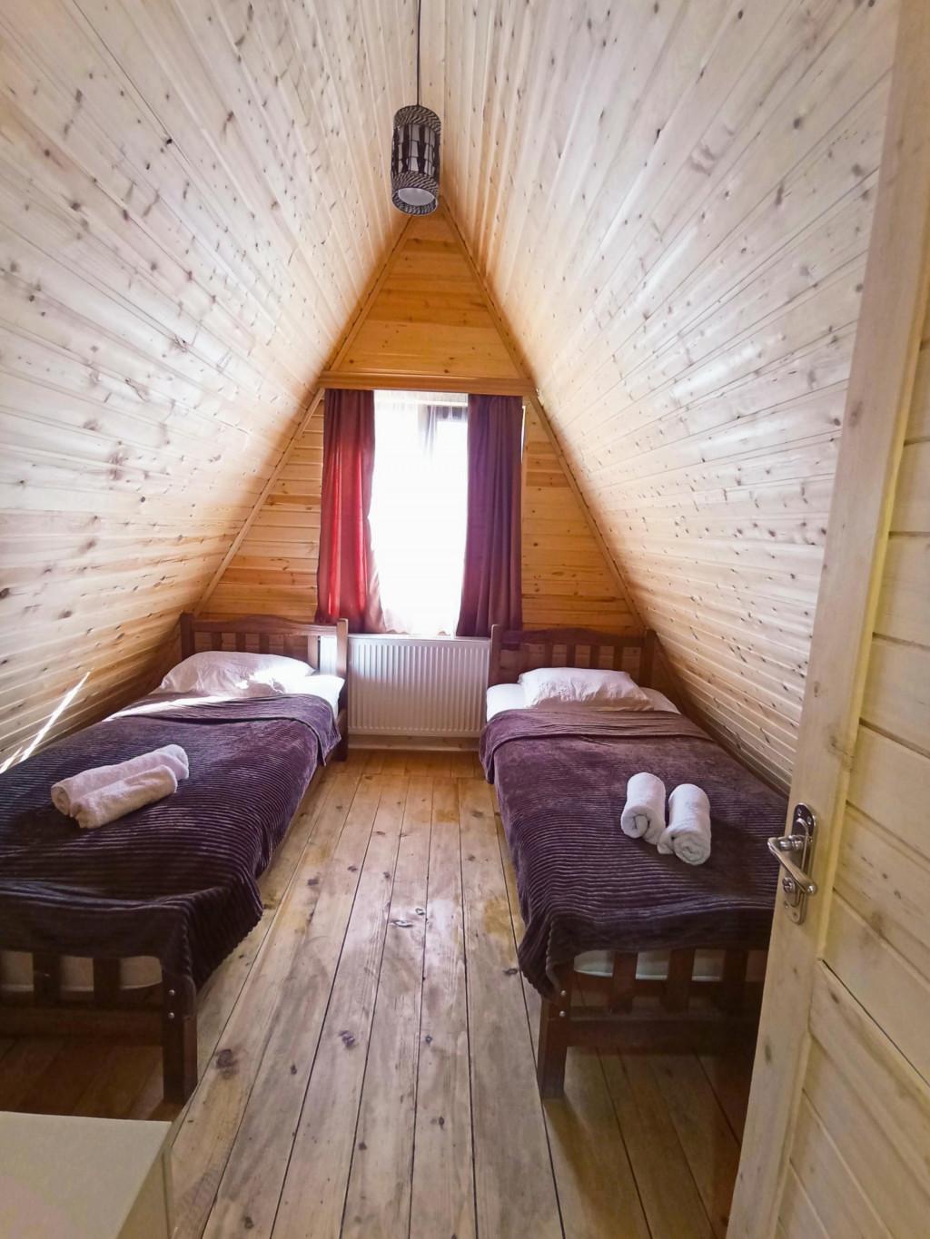 Borjomi-sadgeri\'\'Twins\'\'