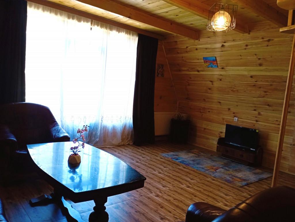 Borjomi-sadgeri\'\'Twins\'\'