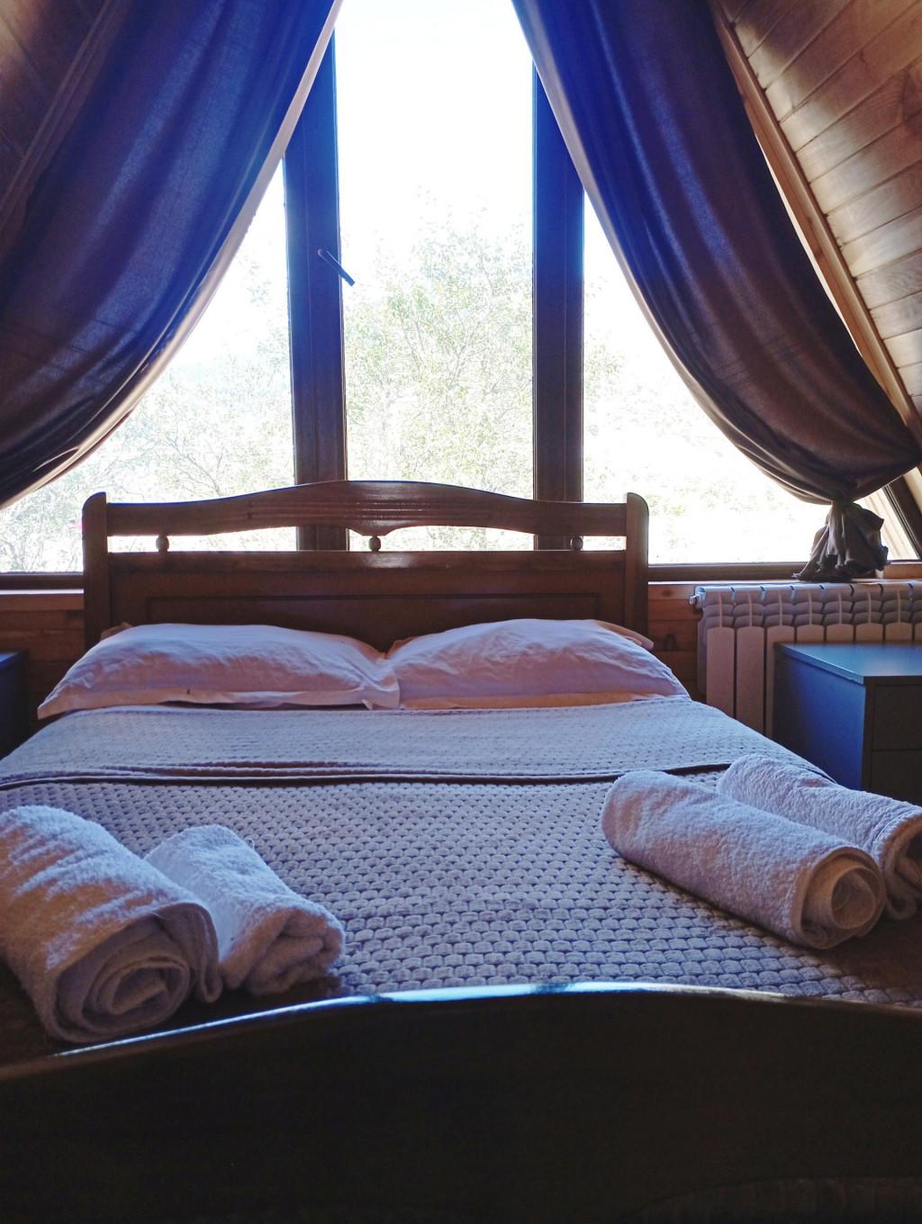 Borjomi-sadgeri\'\'Twins\'\'