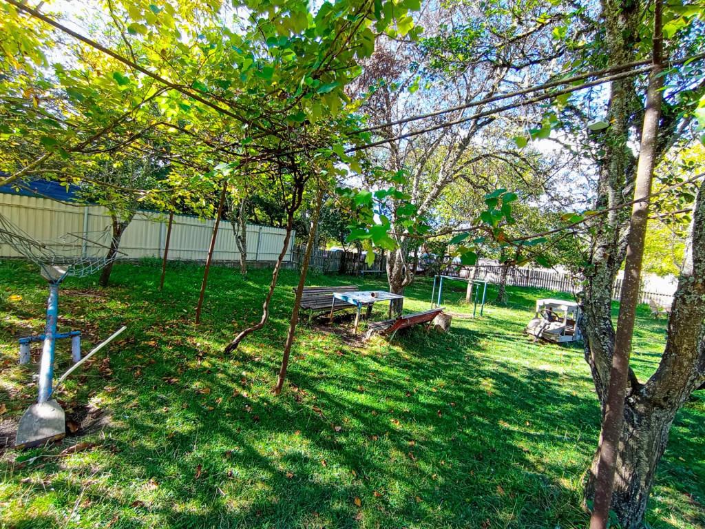 Borjomi-sadgeri\'\'Twins\'\'