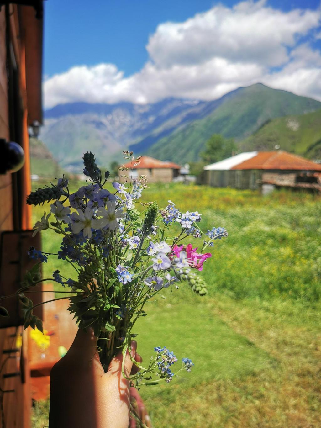 ქირავდება დღიურად კოტეჯი ყაზბეგში