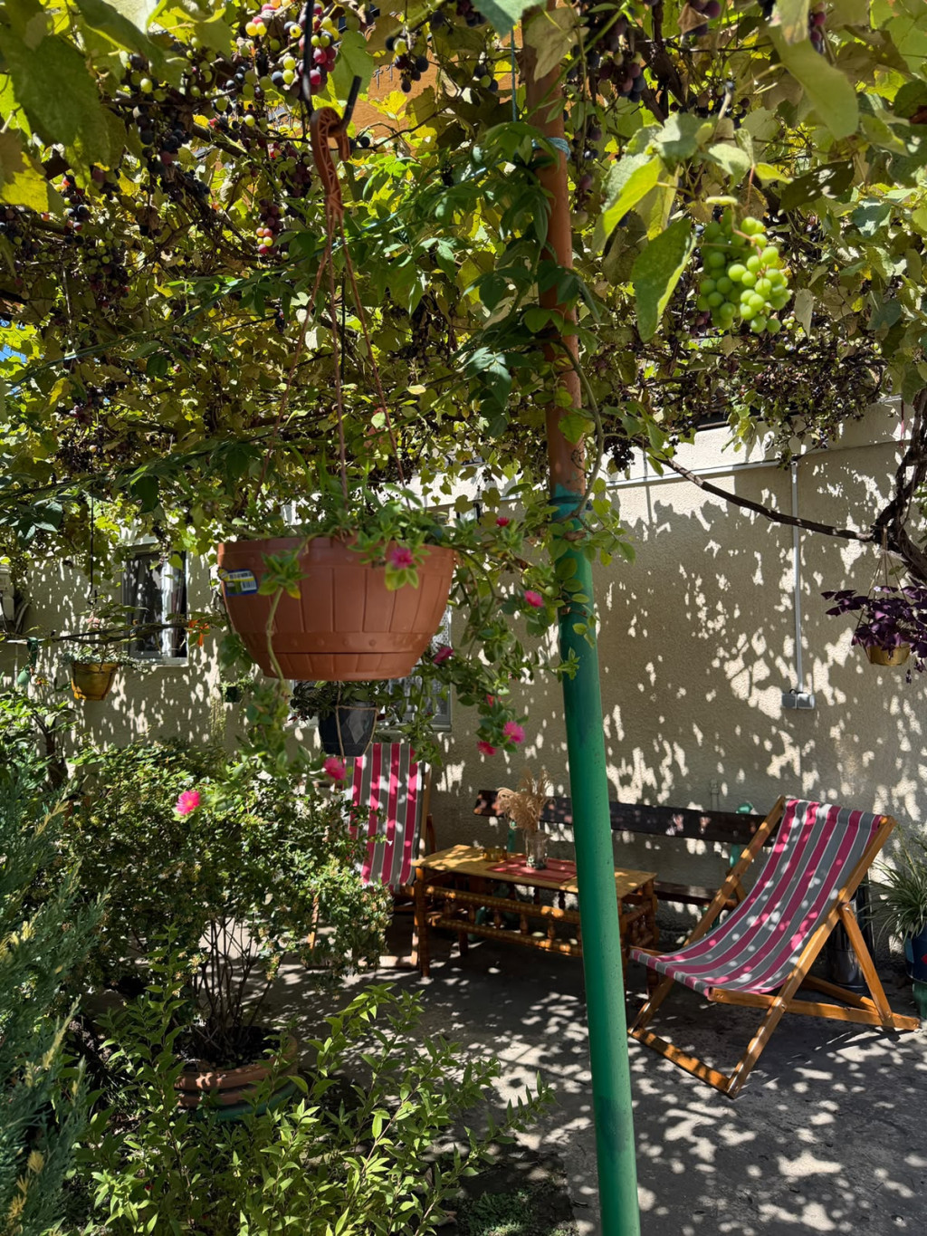 Dadu\'s Guesthouse