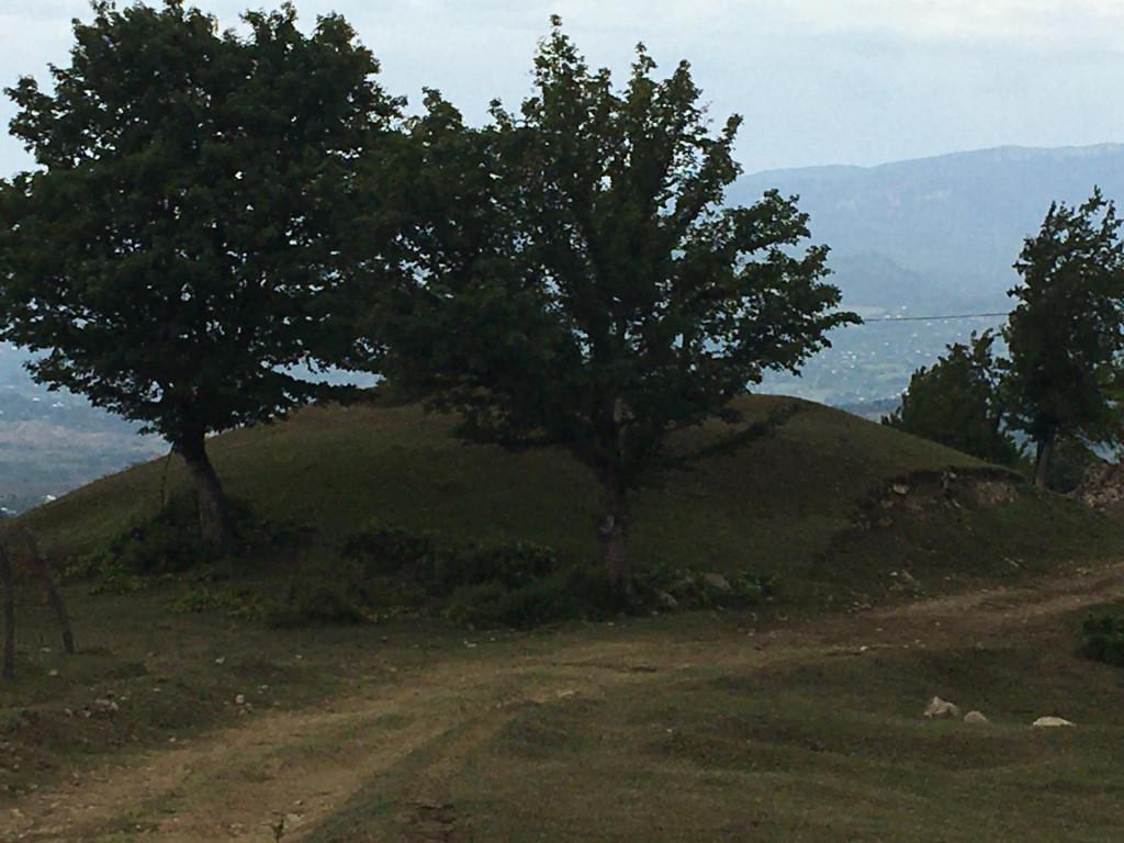 ბჟინევის ყორღანი