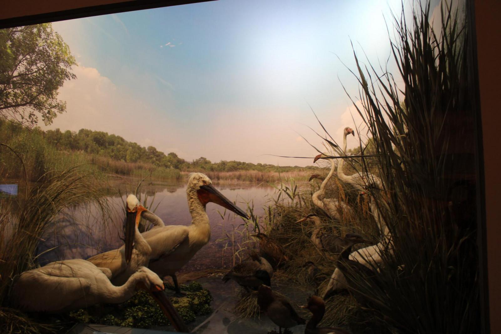 საქართველოს ეროვნული მუზეუმი