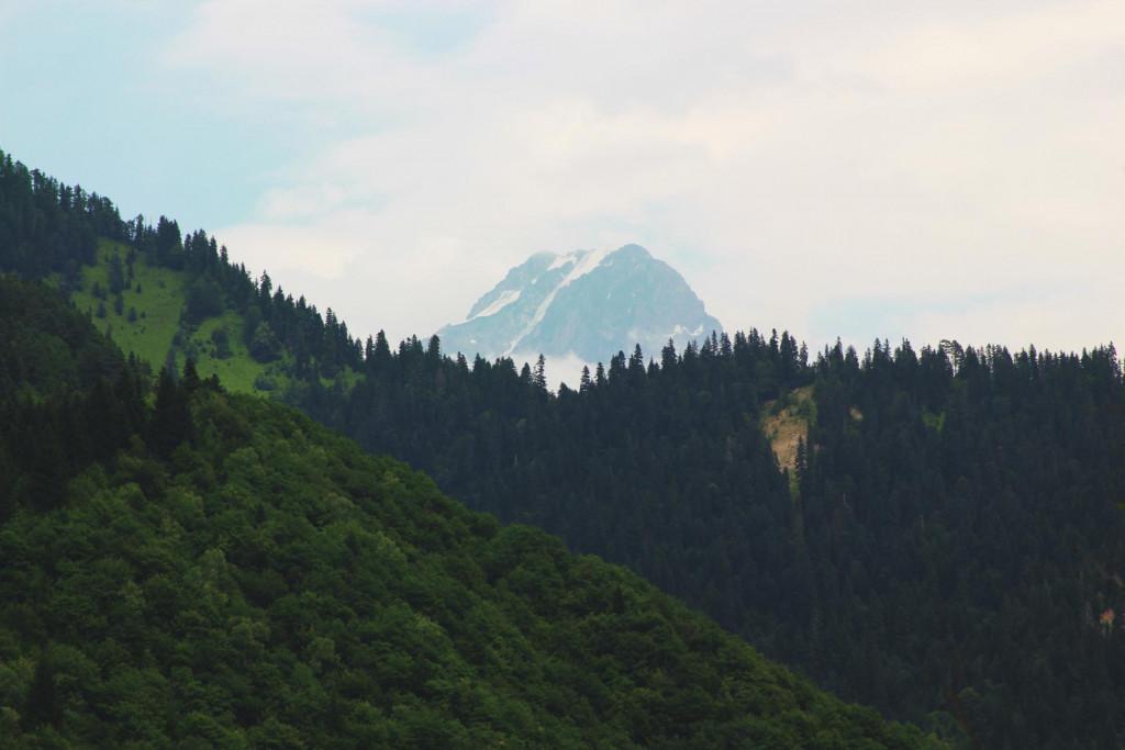 ჭიორა-ნოწარა