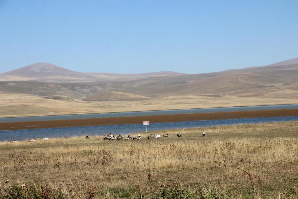 მადათაფის ტბა