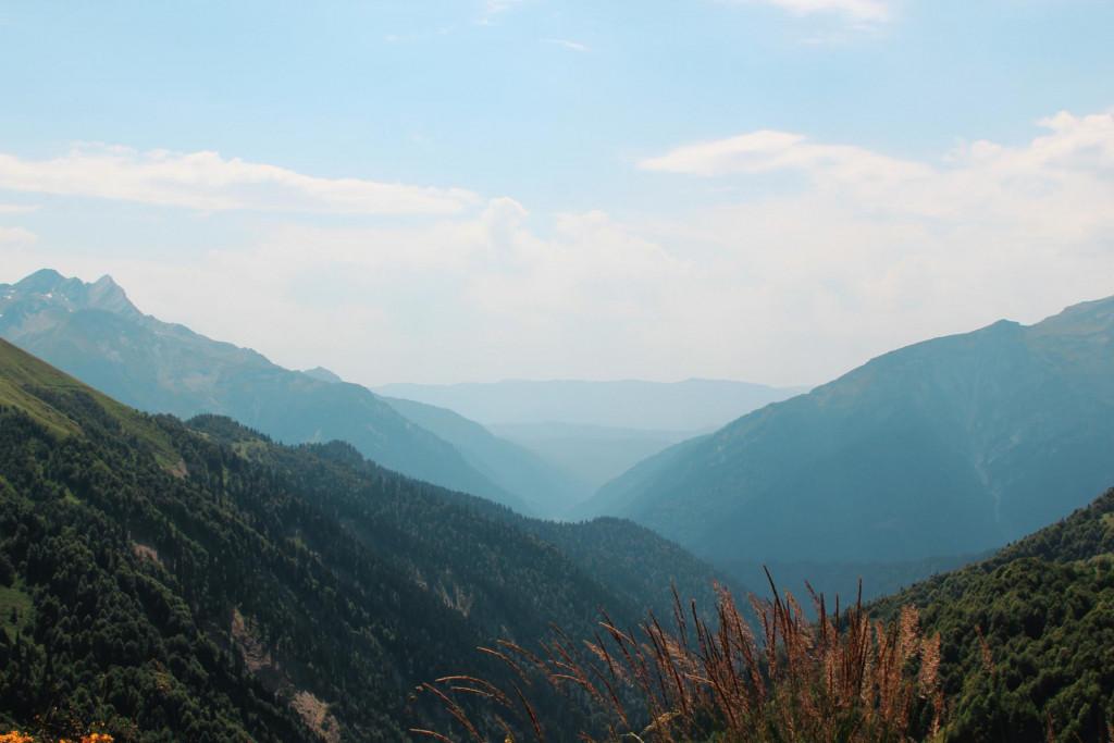 ჭიორა-ნოწარა