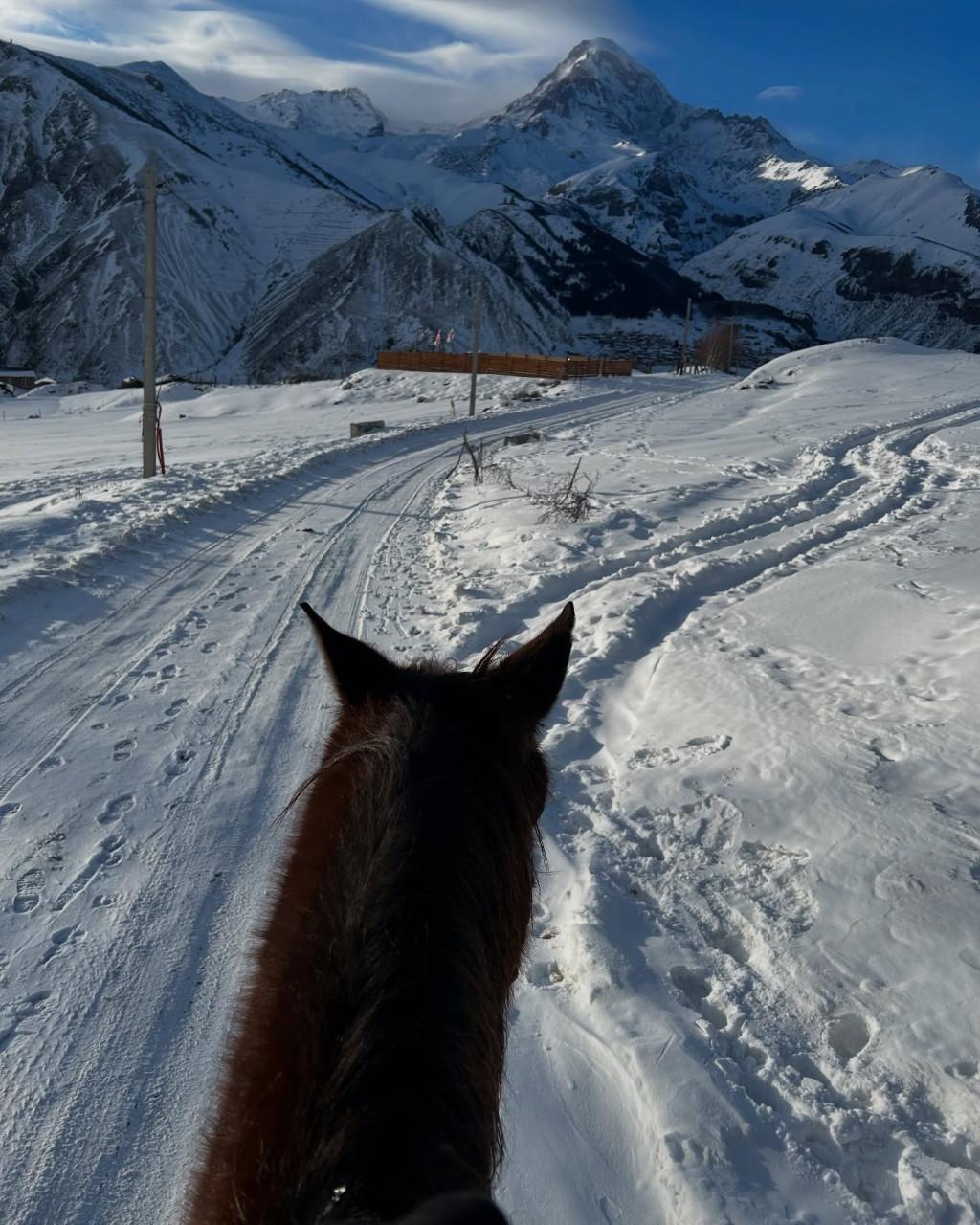 ცხენტური ყაზბეგში