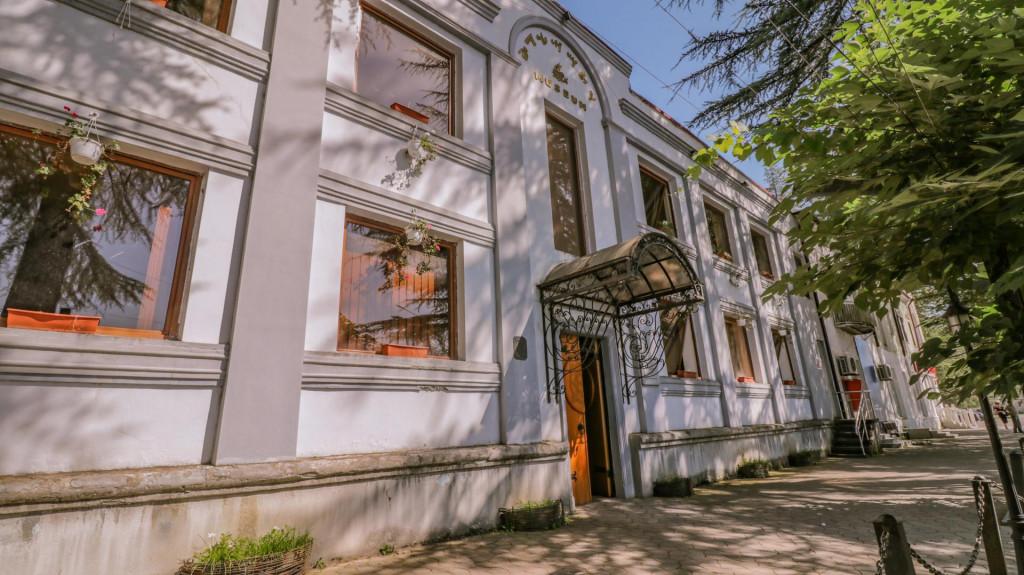 მარტვილის მხარეთმცოდნეობის მუზეუმი, museum