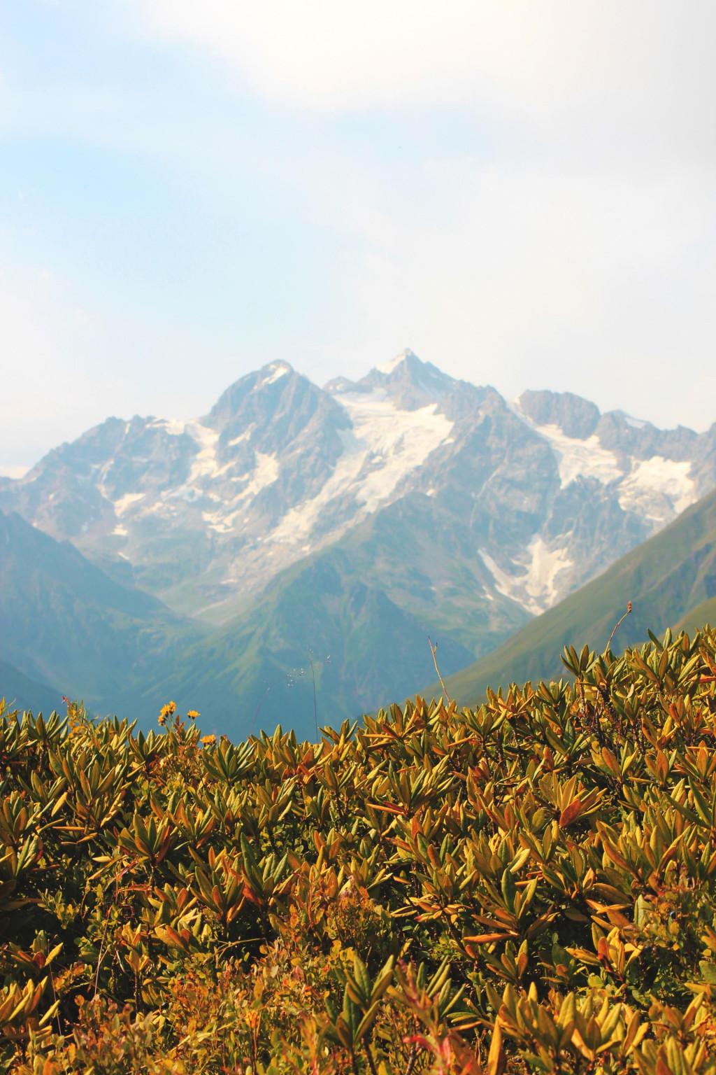 ჭიორა-ნოწარა