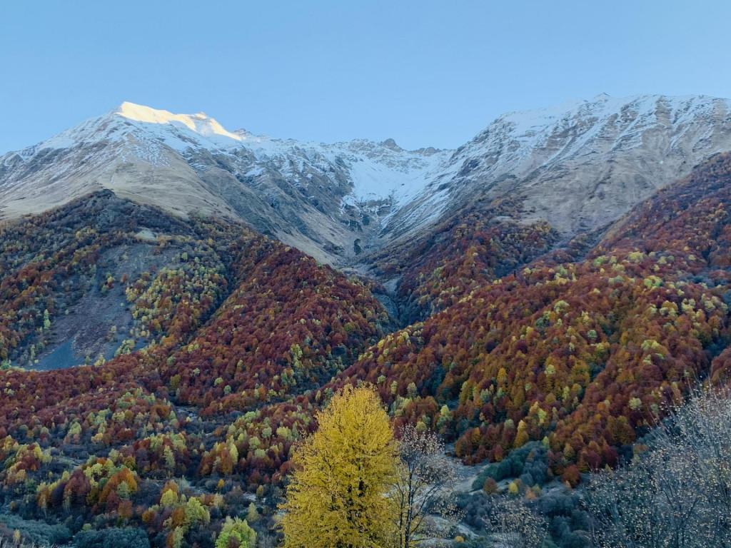 მთის რაჭა