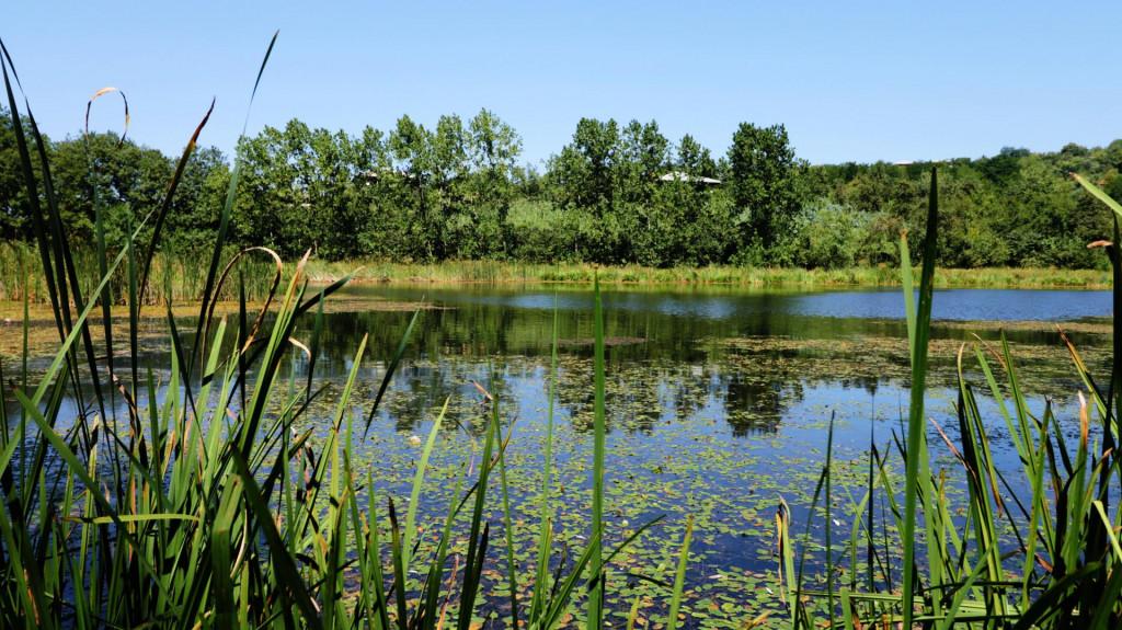 ტაბაკუროს ტბა