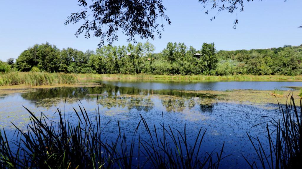 ტაბაკუროს ტბა