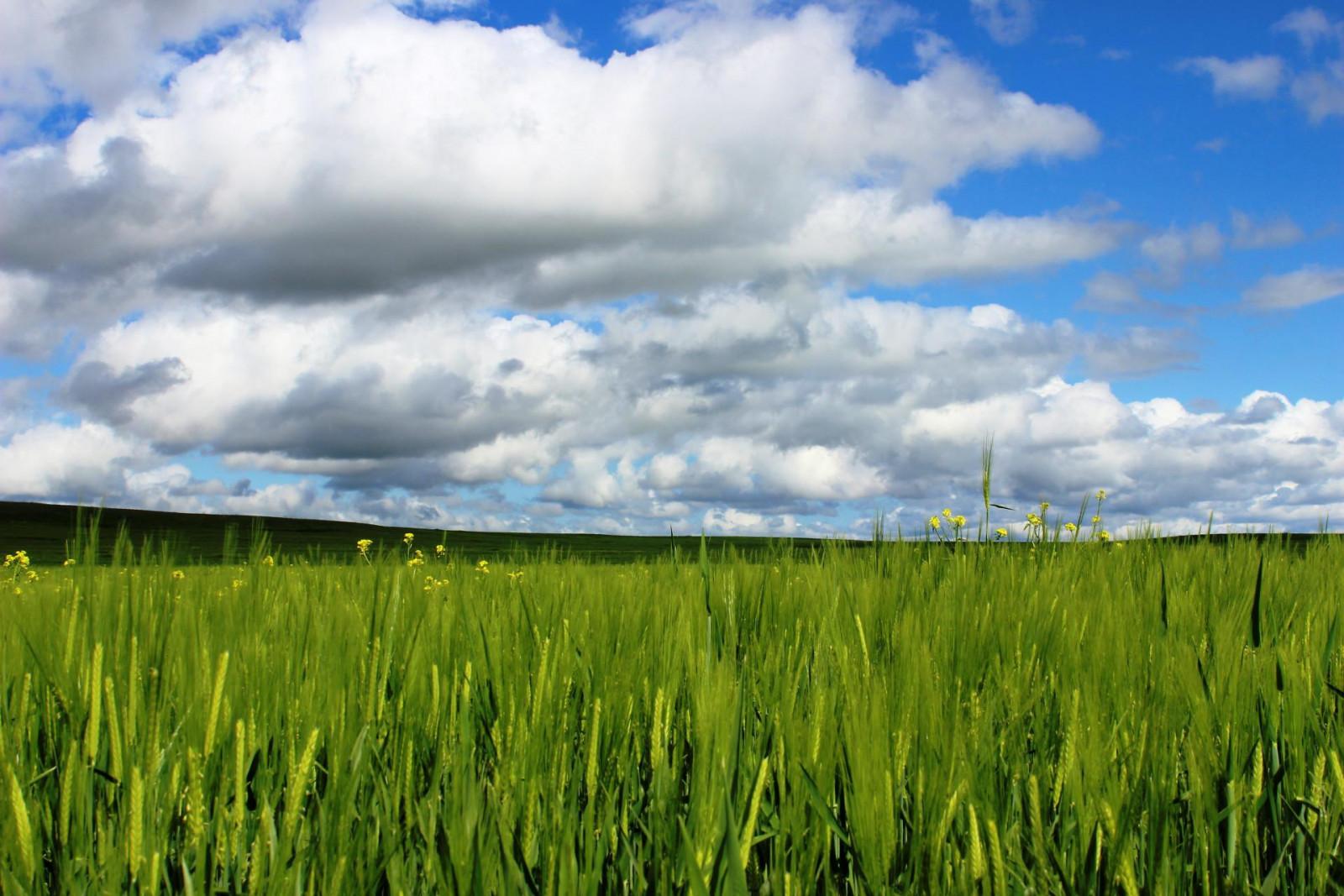 ჭაჭუნას აღკვეთილი
