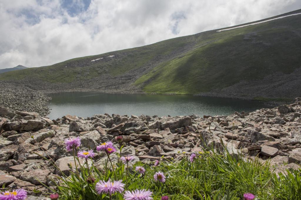 აბულ-სამსარის ქედი
